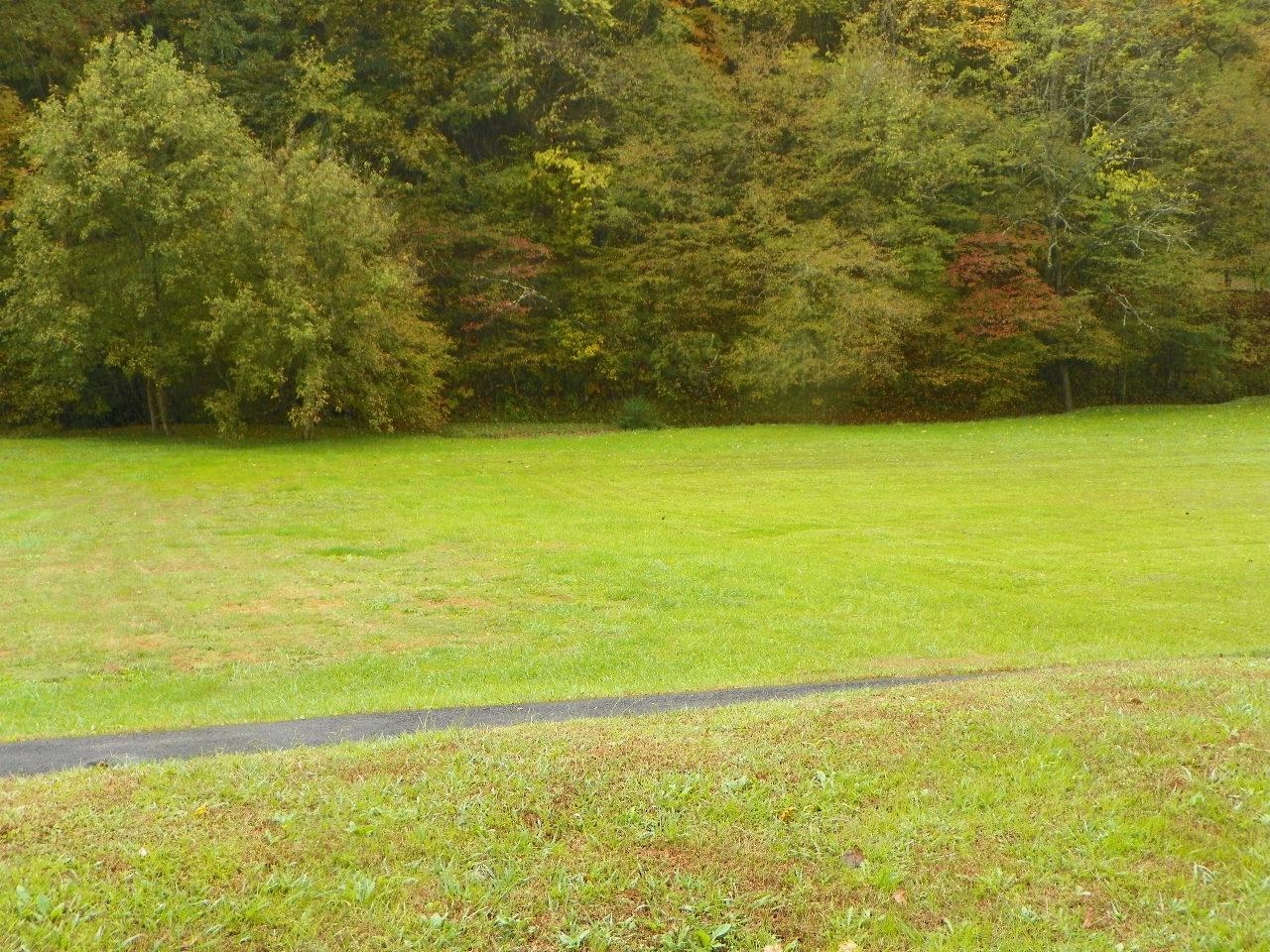 5050-5046 Jones Cove Road Cosby, TN 37722 - Photo 22 of 36 101_7222