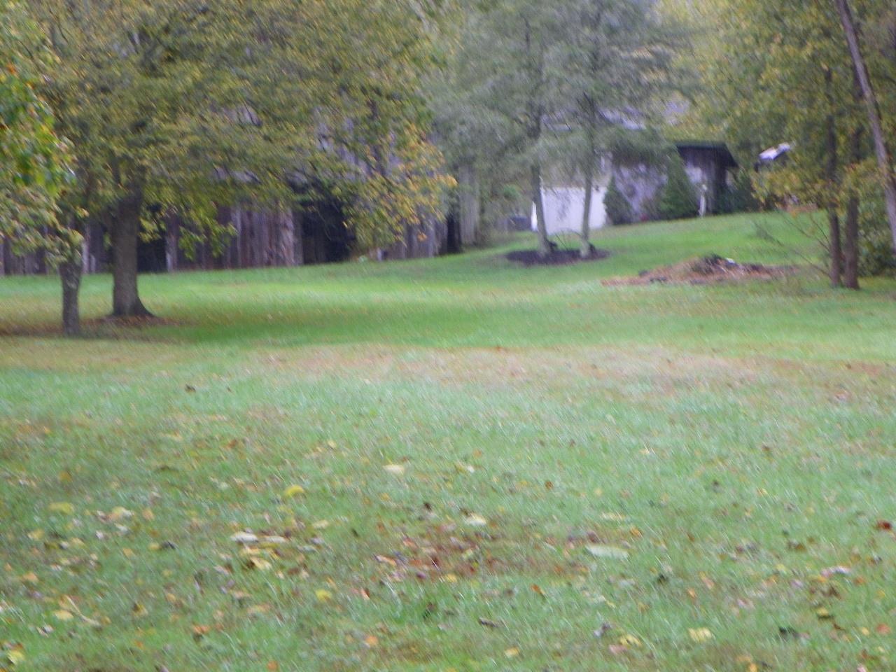 5050-5046 Jones Cove Road Cosby, TN 37722 - Photo 24 of 36 101_7217