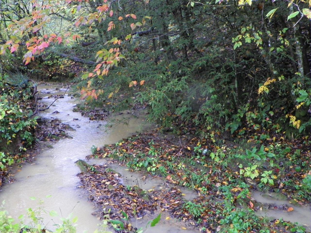 5050-5046 Jones Cove Road Cosby, TN 37722 - Photo 32 of 36 101_7215
