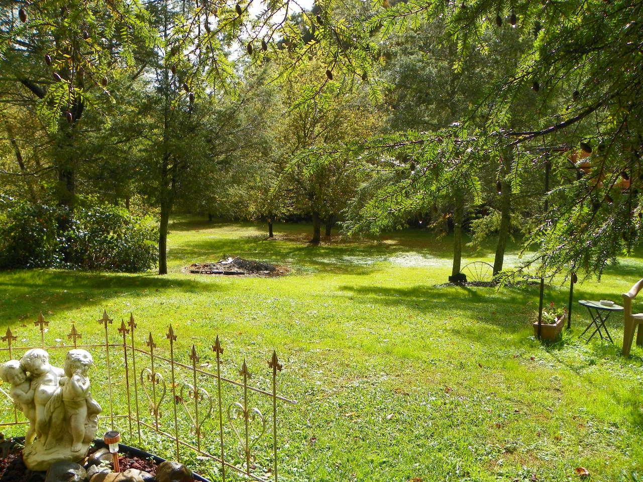 5050-5046 Jones Cove Road Cosby, TN 37722 - Photo 34 of 36 101_7195