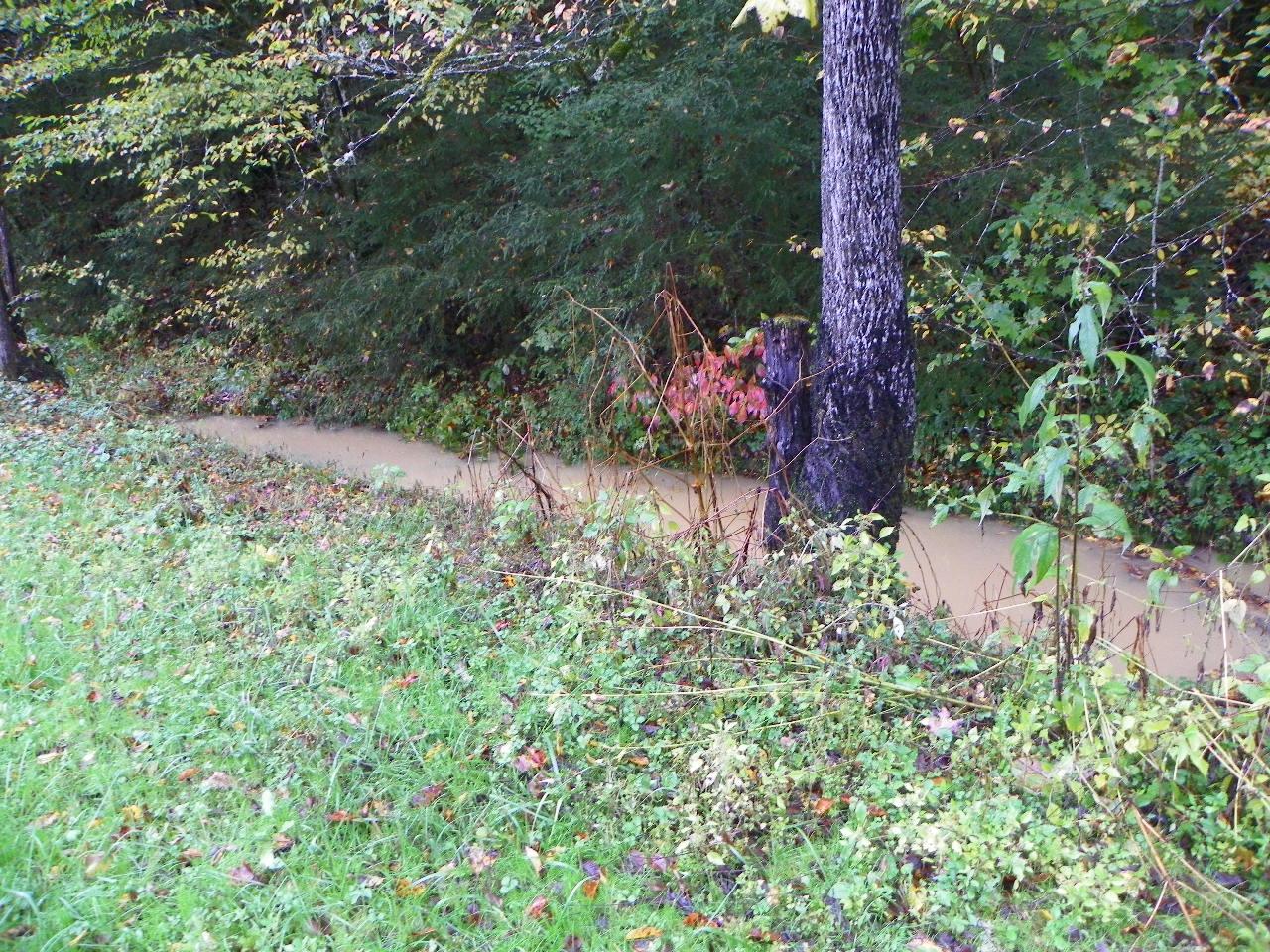 5050-5046 Jones Cove Road Cosby, TN 37722 - Photo 35 of 36 101_7209