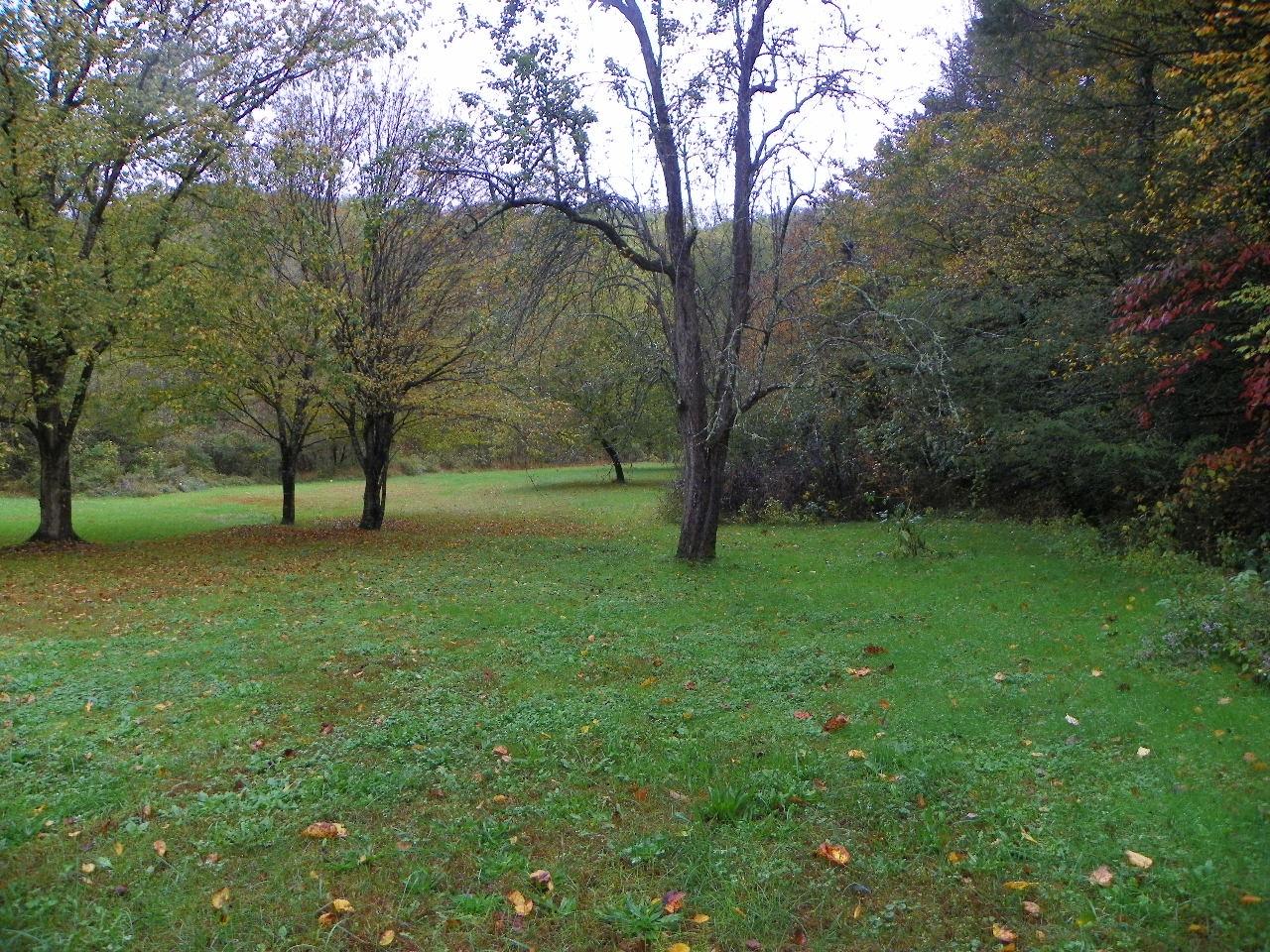 5050-5046 Jones Cove Road Cosby, TN 37722 - Photo 36 of 36 101_7211