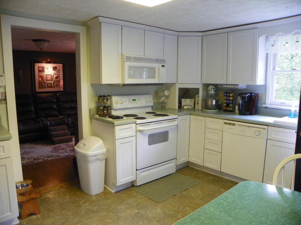 5050-5046 Jones Cove Road Cosby, TN 37722 - Photo 8 of 36 101_7189