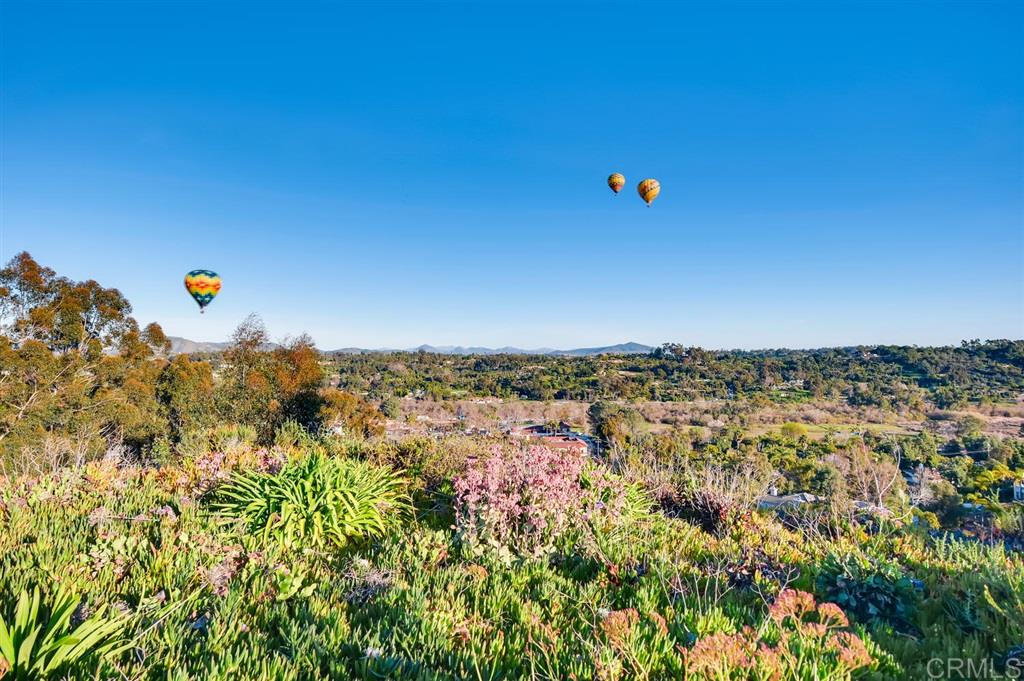 142 Hummingbird Hill Encinitas, CA 92024 - Photo 20 of 25