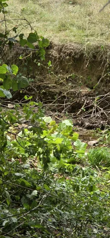 $170,000 | 5387 Highway 230, McEwen, TN 37101