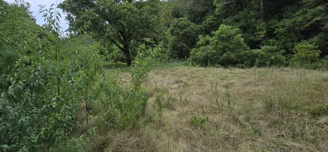 $170,000 | 5387 Highway 230, McEwen, TN 37101