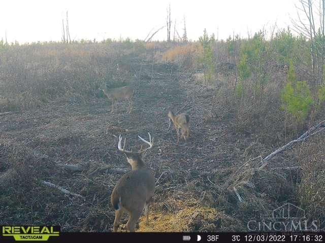 0 Clines Chapel Road Waverly, OH 45690 - Photo 12 of 40 Gallery Image 12