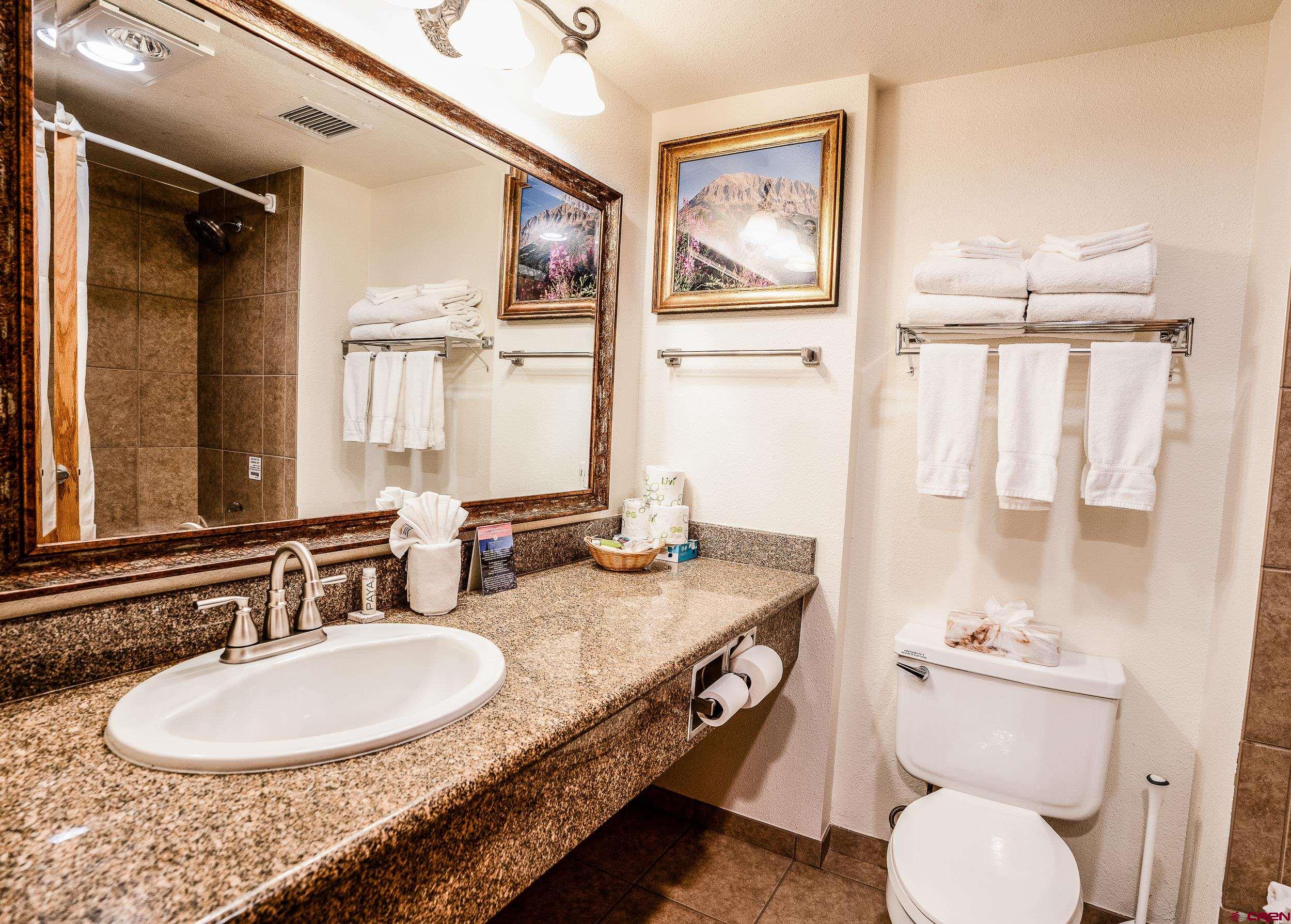 6 Emmons Road, Unit 304 Crested Butte, CO 81225 - Photo 14 of 22 Gallery Image 14