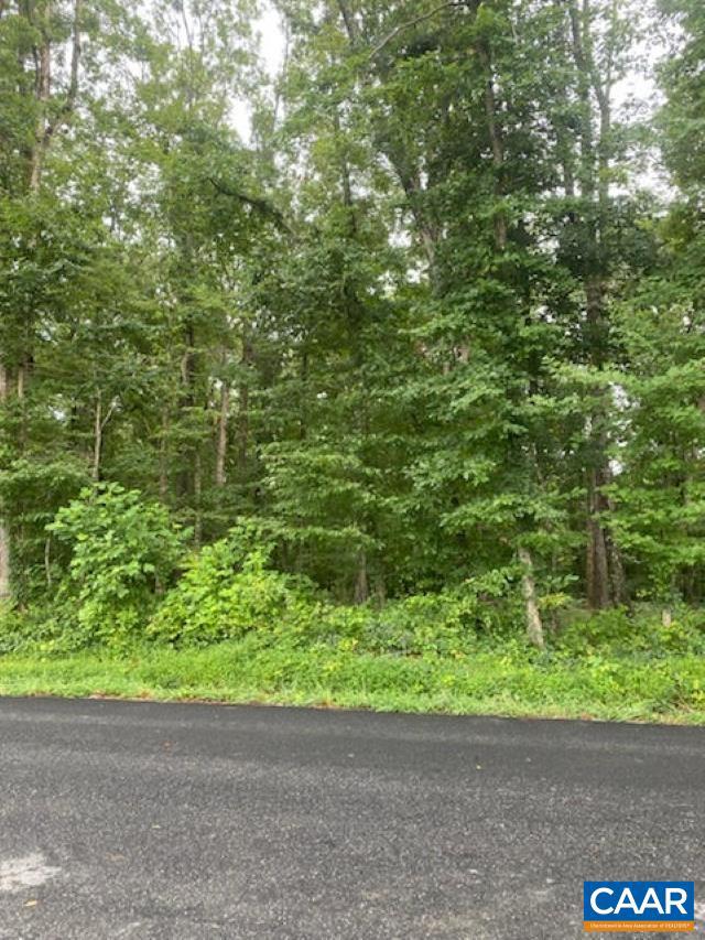 4.31-acres Paddock Wood Road Keswick, VA 22947 - Photo 3 of 3