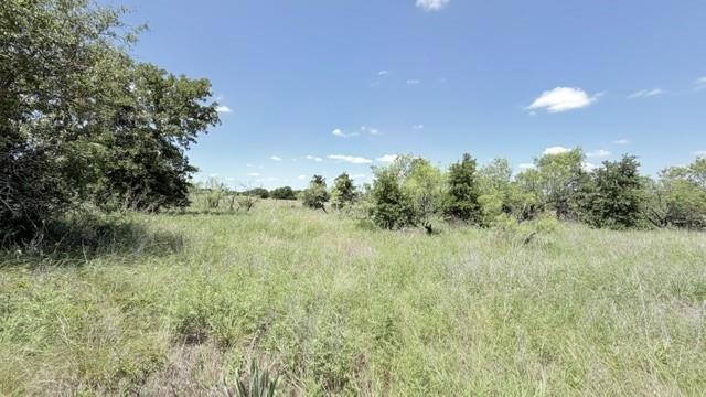 0 Ambruss Jones Road Bellevue, TX 76228 - Photo 4 of 12