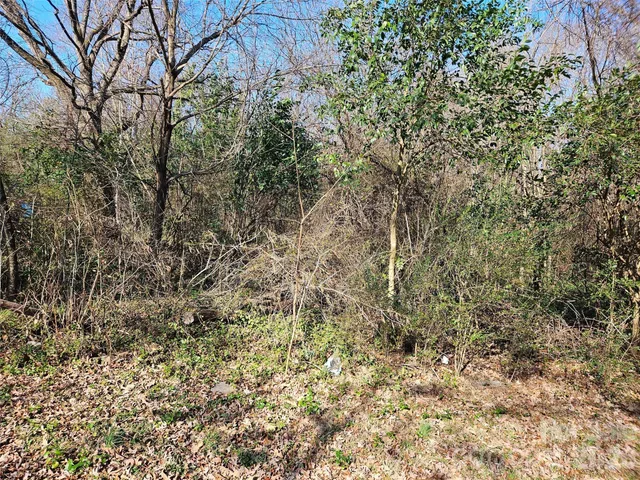 $17,500 | 0 Weathers Street, Unit 21, Forest City, NC 28043