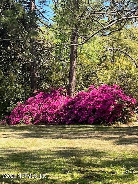 0 Alpha Avenue Jacksonville, FL 32205 - Photo 2 of 3