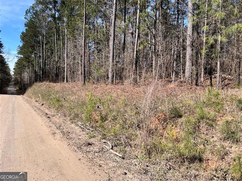 0 Jones Fairburn, GA 30213 - Photo 2 of 8 Gallery Image 2