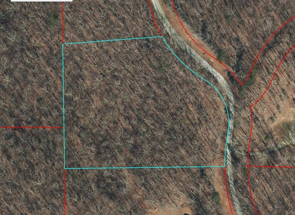 2 Fire Tower Drive Rougemont, NC 27572 - Photo 6 of 7 Photo 6