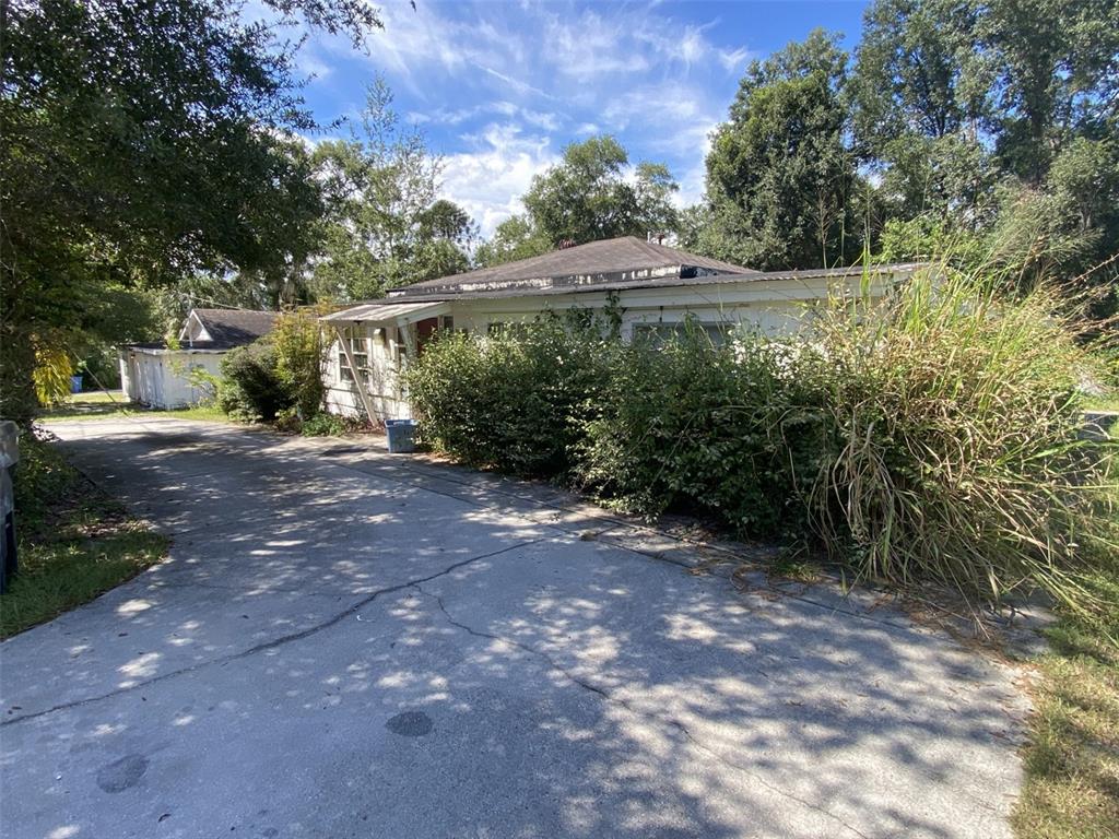 11708 Hills Road Seffner, FL 33584 - Photo 5 of 30 a view of a outdoor space with a tree