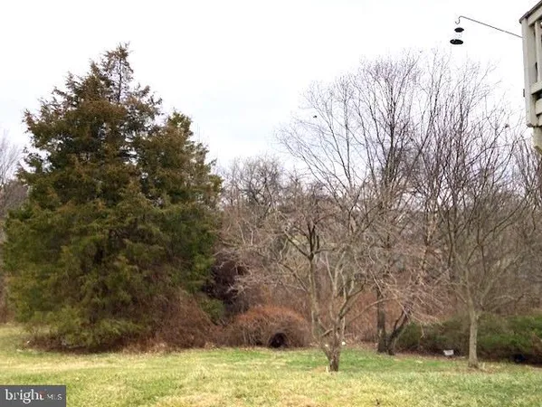 a view of a yard with large trees