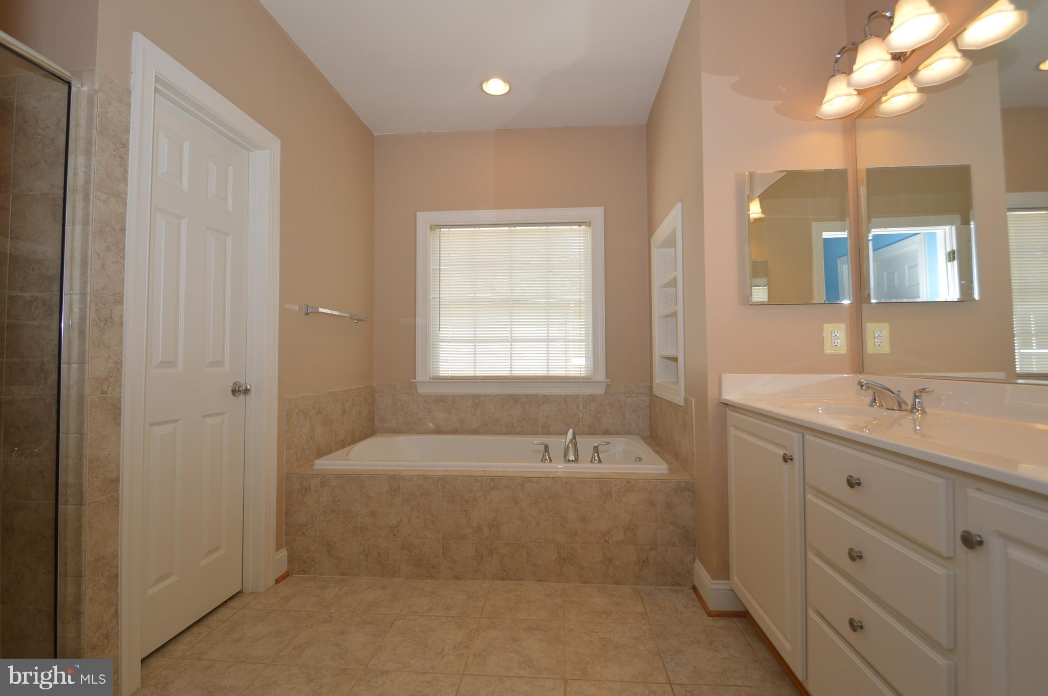 43076 La Riva Drive Ashburn, VA 20148 - Photo 5 of 19 Bath (Master)