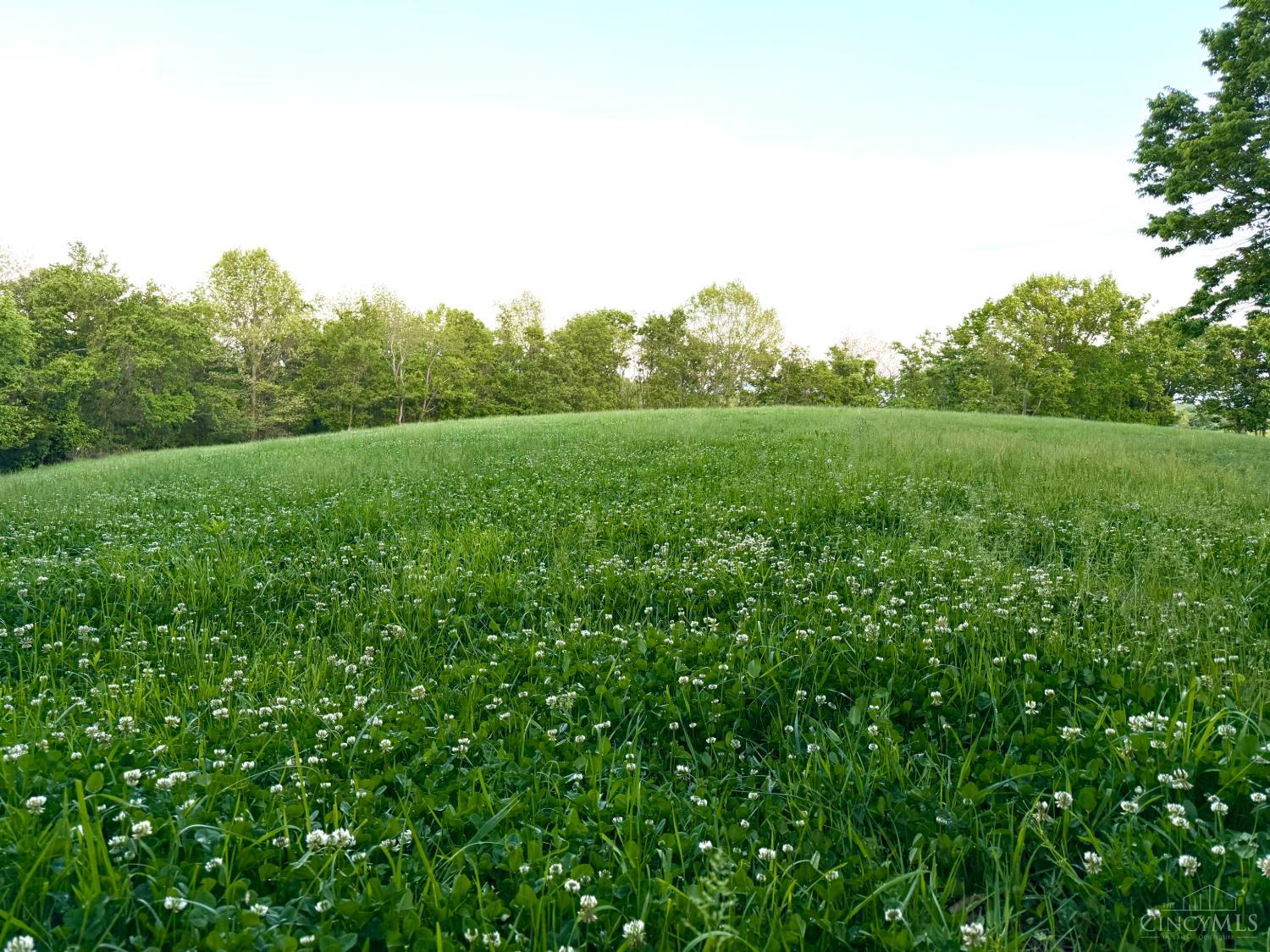 0 Maynard Road Ripley, OH 45167 - Photo 29 of 99