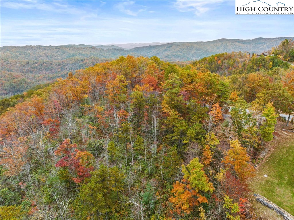 81 Jumpseed Way Boone, NC 28607 - Photo 11 of 20