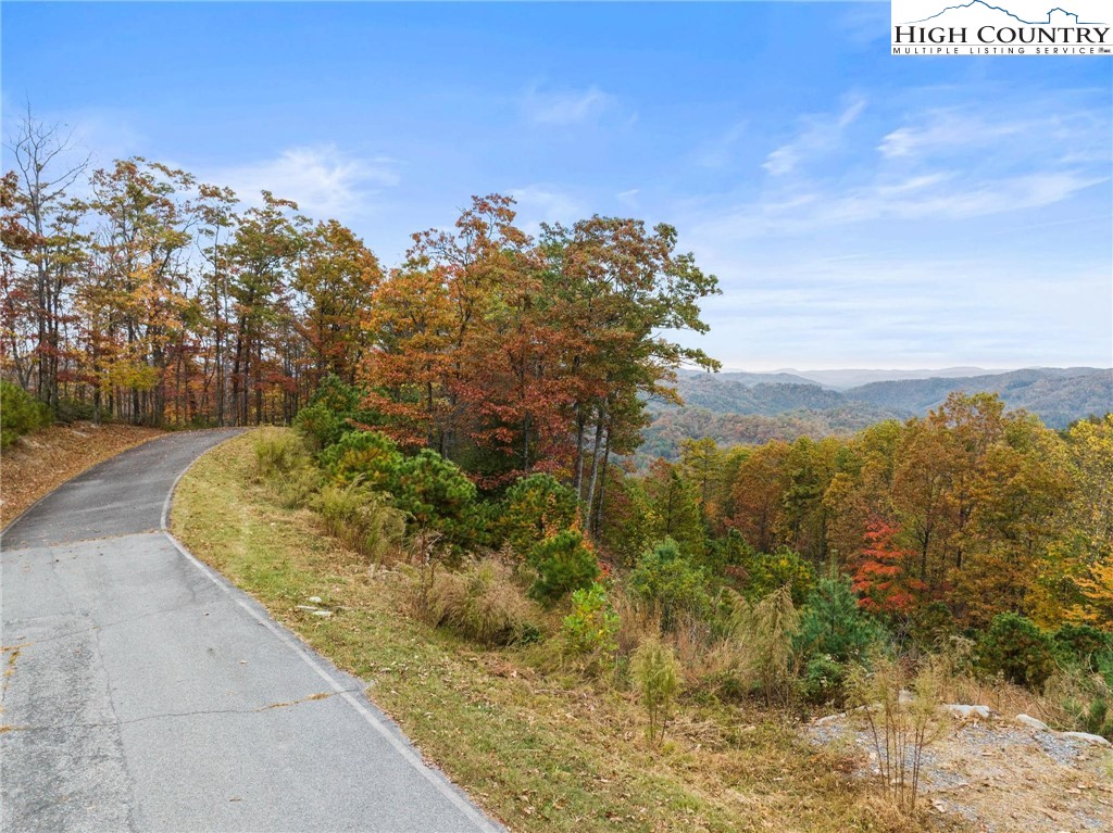 81 Jumpseed Way Boone, NC 28607 - Photo 13 of 20