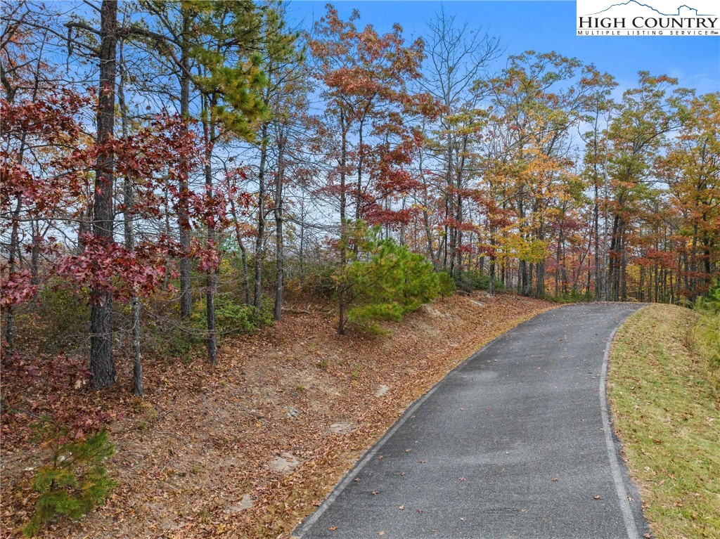 81 Jumpseed Way Boone, NC 28607 - Photo 15 of 20