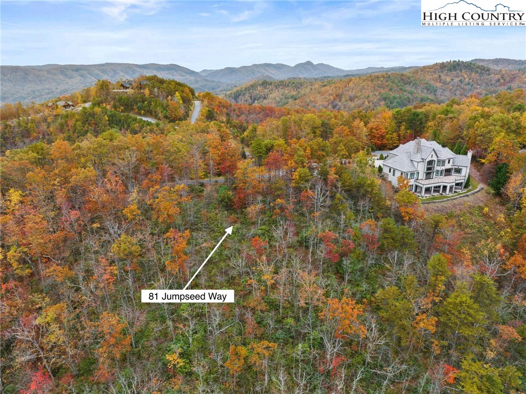 81 Jumpseed Way Boone, NC 28607 - Photo 3 of 20