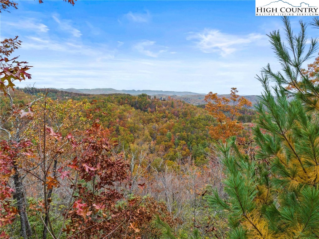 81 Jumpseed Way Boone, NC 28607 - Photo 5 of 20