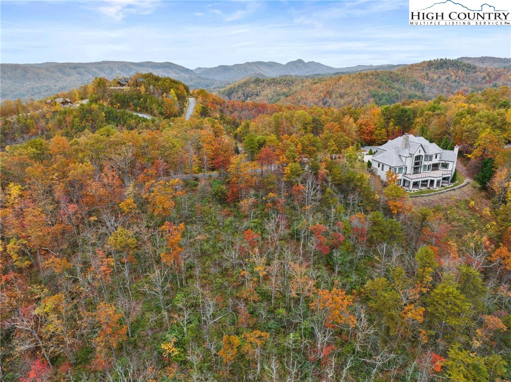 81 Jumpseed Way Boone, NC 28607 - Photo 9 of 20