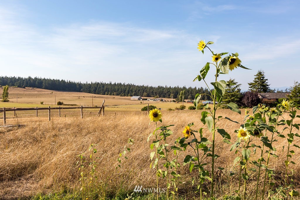 2344 Zylstra Road Oak Harbor, WA 98277 - Photo 25 of 25 Gallery Image 25
