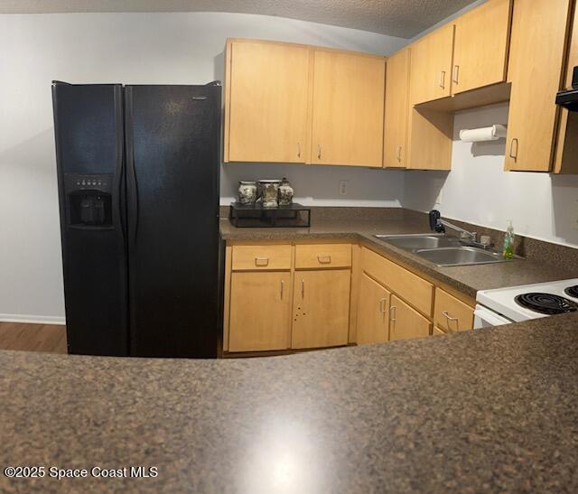 800 North Fiske Boulevard, Unit 114 Cocoa, FL 32922 - Photo 4 of 17 a kitchen with a sink and a refrigerator