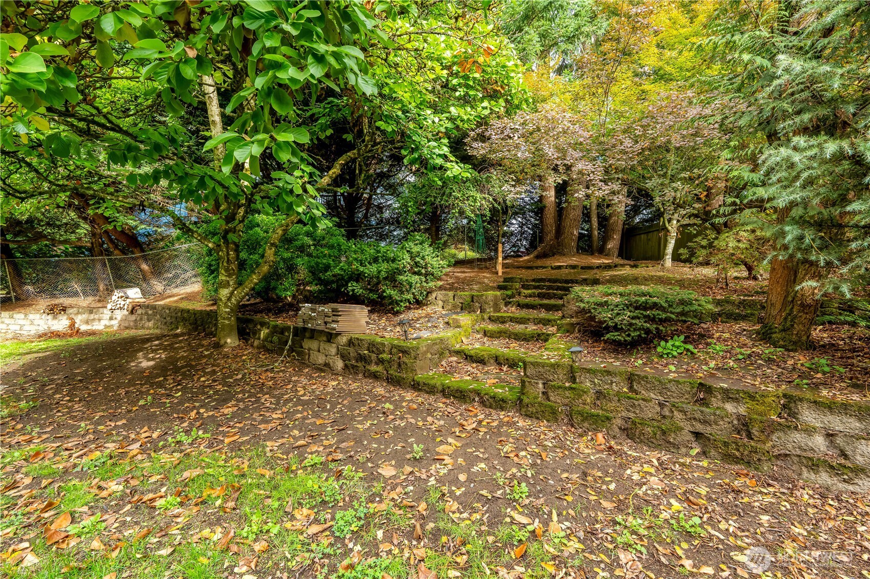 15606 Cascadian Way Bothell, WA 98012 - Photo 32 of 36 a view of a yard with plants and large trees