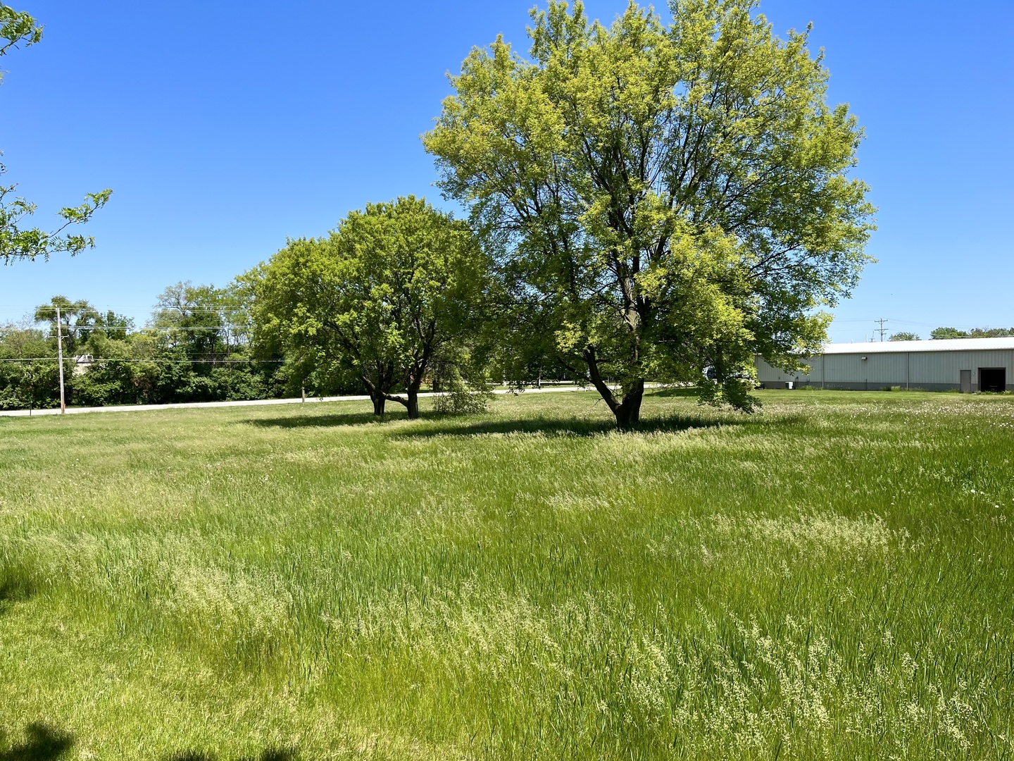 3013 Highway 12 Spring Grove, IL 60081 - Photo 1 of 7