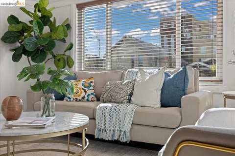 a living room with furniture and a potted plant