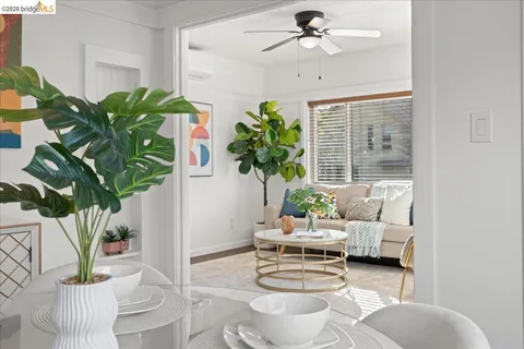 a living room with furniture potted plant and a window