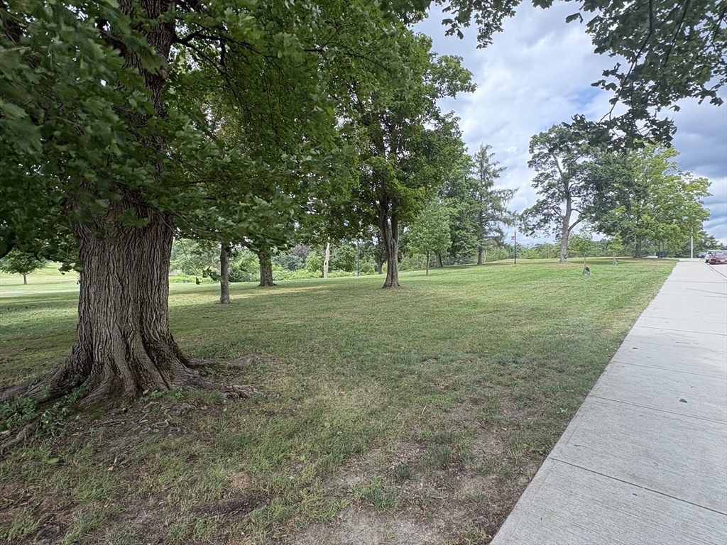 80 Salisbury Street, Unit 308 Worcester, MA 01609 - Photo 2 of 25 a view of a trees with a yard