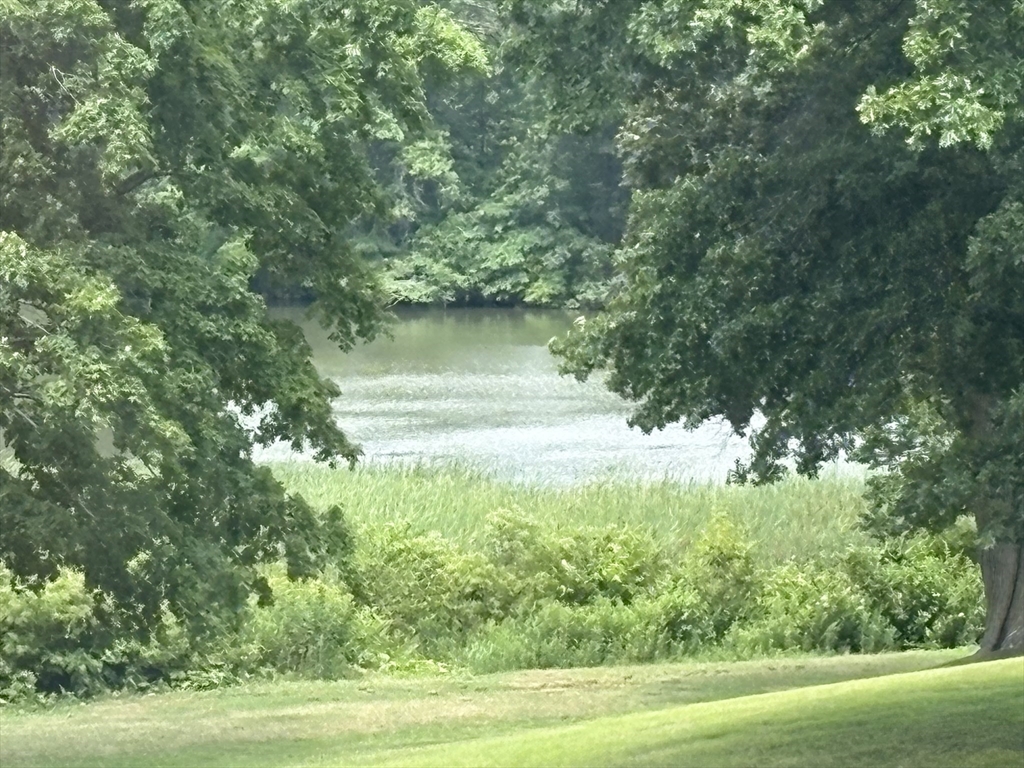 80 Salisbury Street, Unit 308 Worcester, MA 01609 - Photo 24 of 25 a view of a yard with a tree