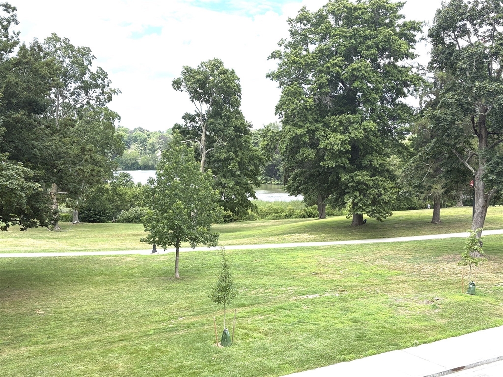 80 Salisbury Street, Unit 308 Worcester, MA 01609 - Photo 3 of 25 a view of an ocean from a yard