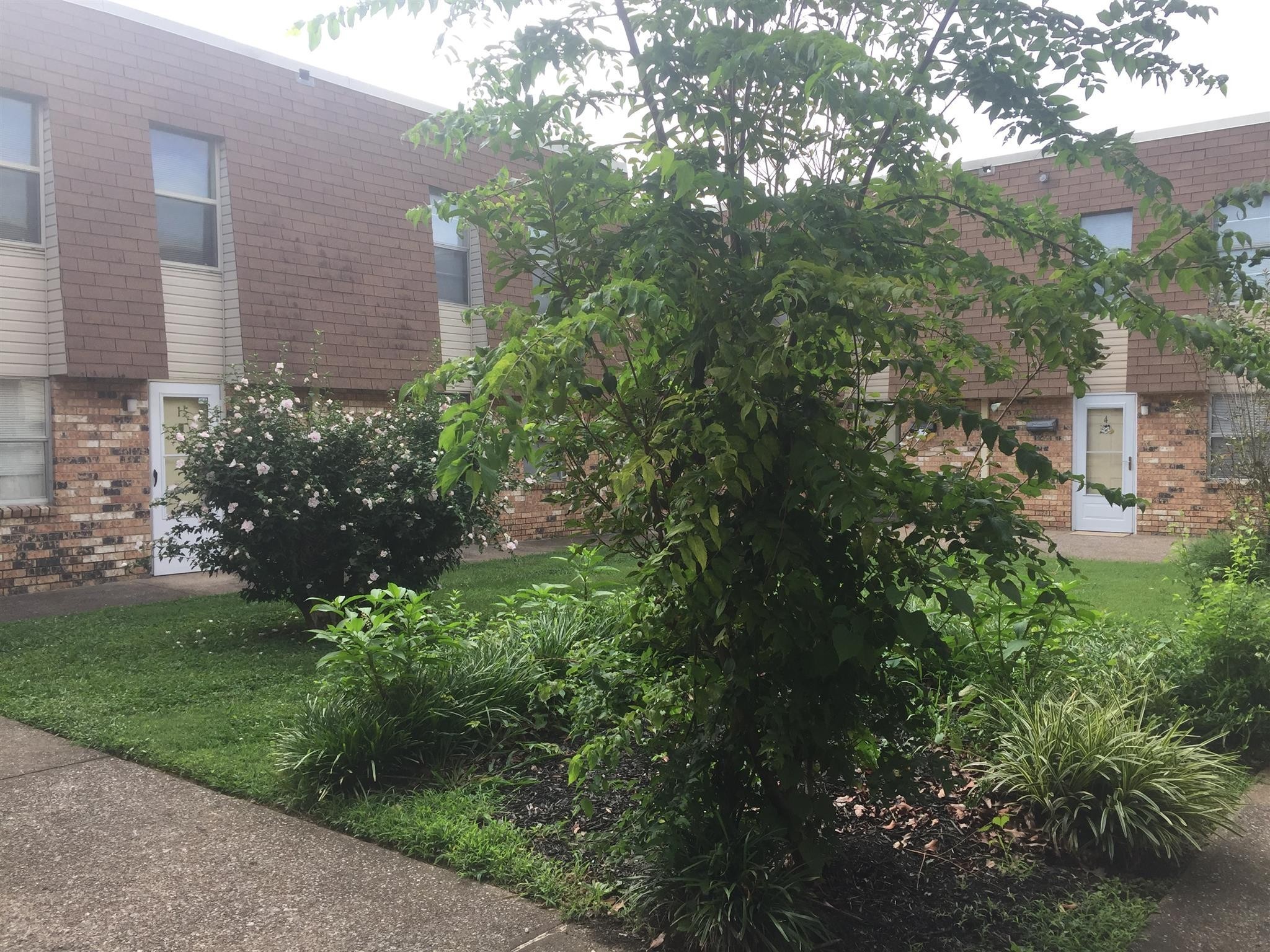 370 Wallace Road, Unit F9 Nashville, TN 37211 - Photo 2 of 14 a view of a garden with a building in the background