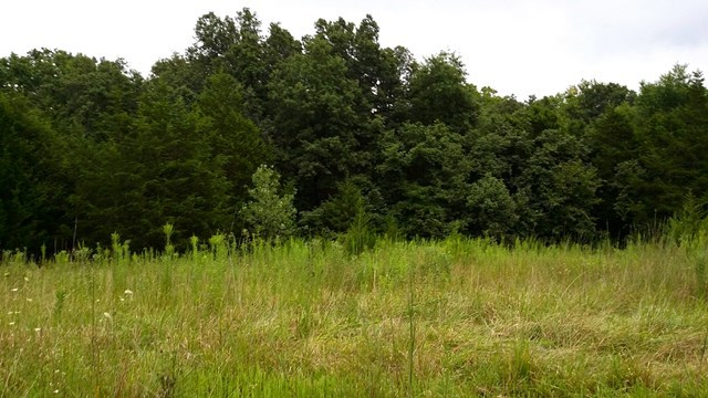 166 County Road Auxvasse, MO 65231 - Photo 18 of 27