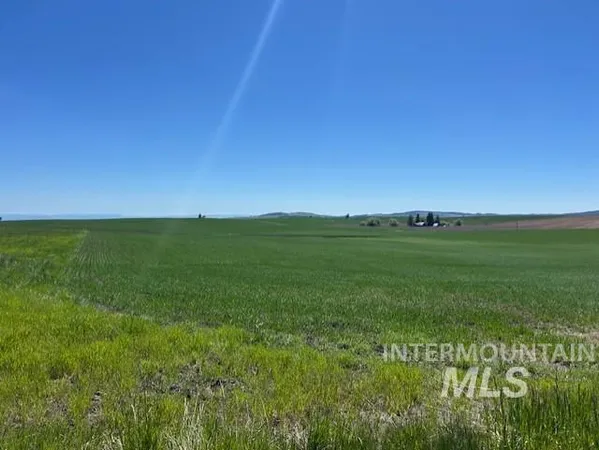 $150,000 | Tbd Klein Road, Craigmont, ID 83523