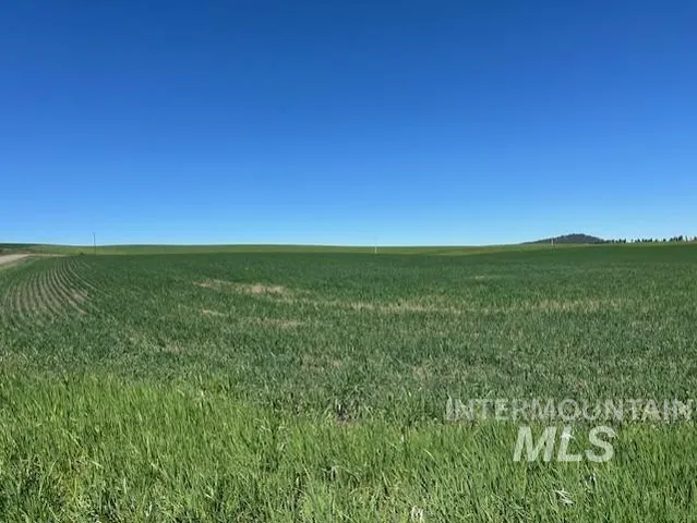 $150,000 | Tbd Klein Road, Craigmont, ID 83523