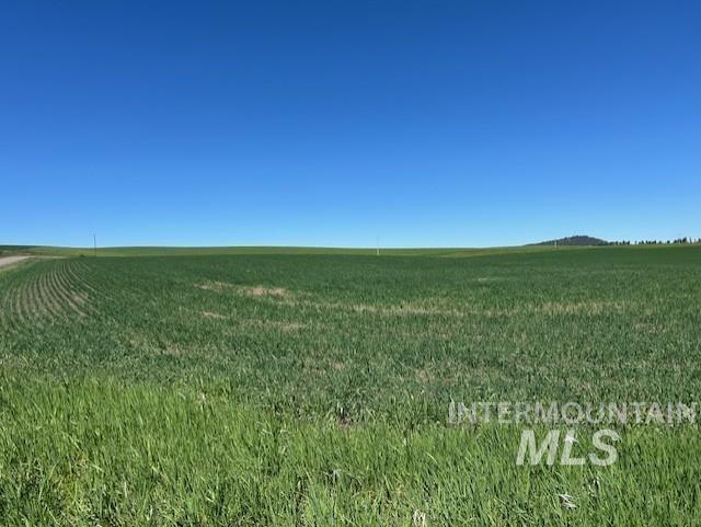 Tbd Klein Road Craigmont, ID 83523 - Photo 11 of 16
