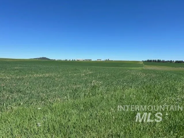 $150,000 | Tbd Klein Road, Craigmont, ID 83523
