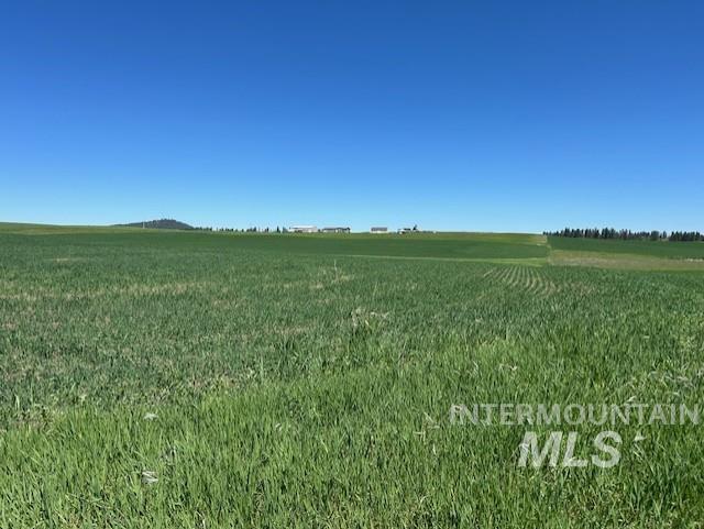 Tbd Klein Road Craigmont, ID 83523 - Photo 12 of 16