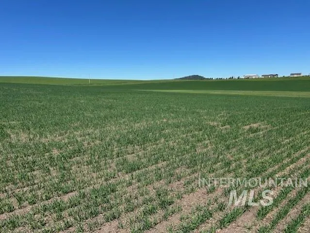 $150,000 | Tbd Klein Road, Craigmont, ID 83523