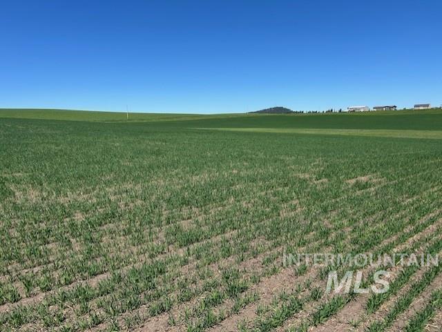 Tbd Klein Road Craigmont, ID 83523 - Photo 13 of 16