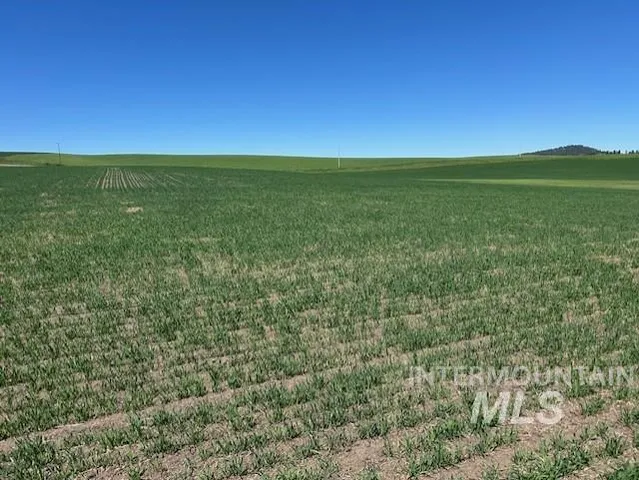 $150,000 | Tbd Klein Road, Craigmont, ID 83523