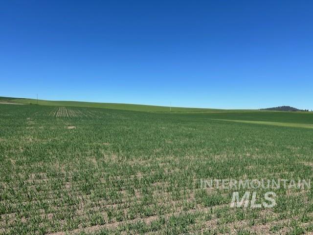 Tbd Klein Road Craigmont, ID 83523 - Photo 16 of 16