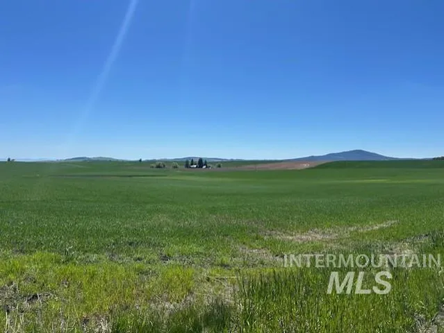 $150,000 | Tbd Klein Road, Craigmont, ID 83523