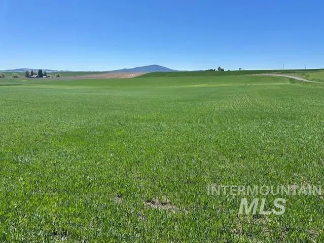 $150,000 | Tbd Klein Road, Craigmont, ID 83523